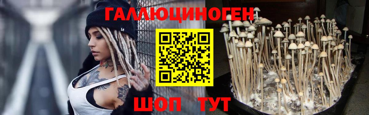 Павлово  Псилоцибиновые грибы мицелий  Вход с VPN 